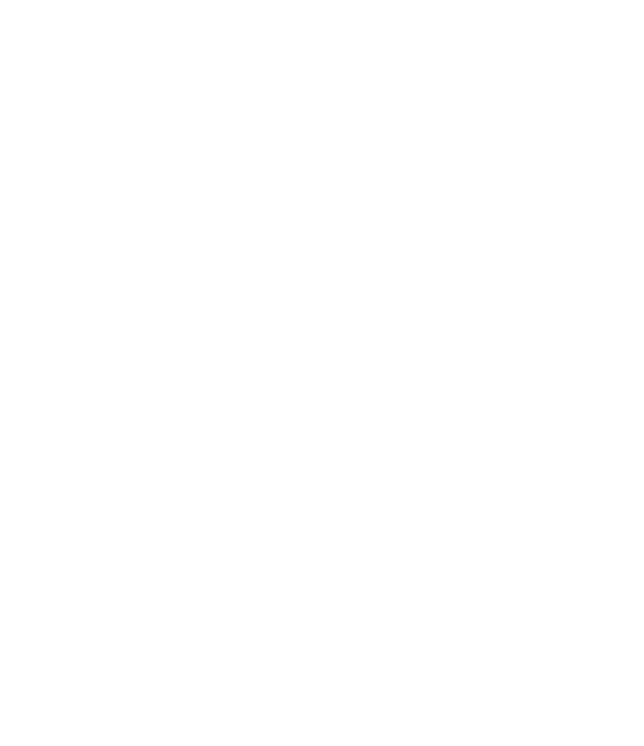 Lake Research Partners